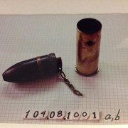 Cover image of  Bullet